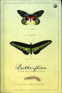 Butterflies 001